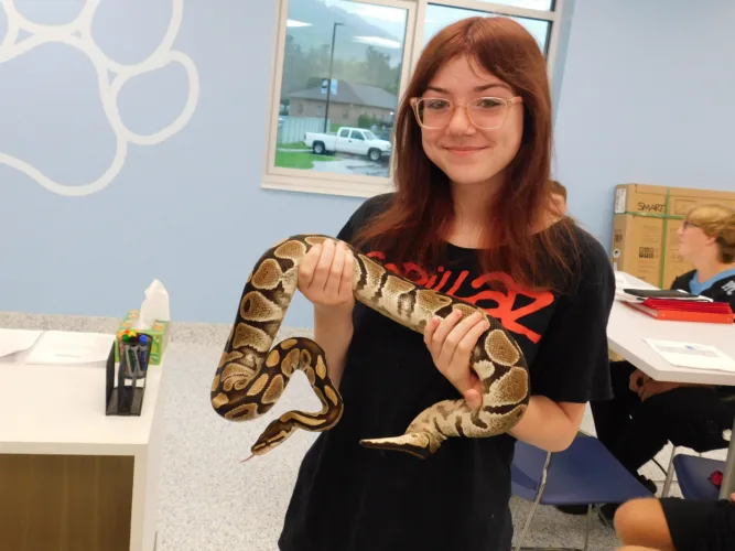 Students return for brand new day at Bridgeport Schools
